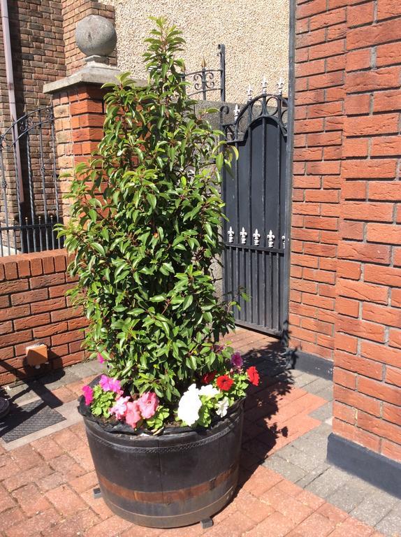 Westwinds Guestlodge Galway