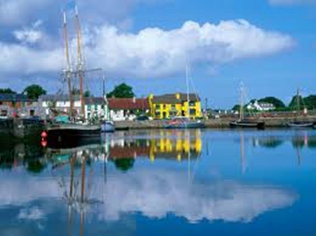 Griffin Galway