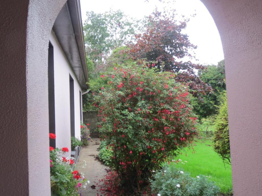 Abbey View