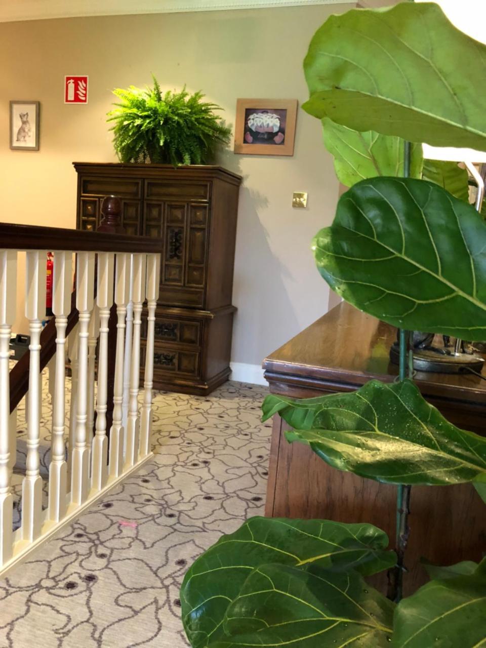 Amber Berry Bed & Breakfast Galway