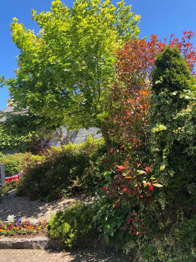 Bed & Breakfast Amber Heights 3*