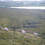 Mannin Lodge B&B