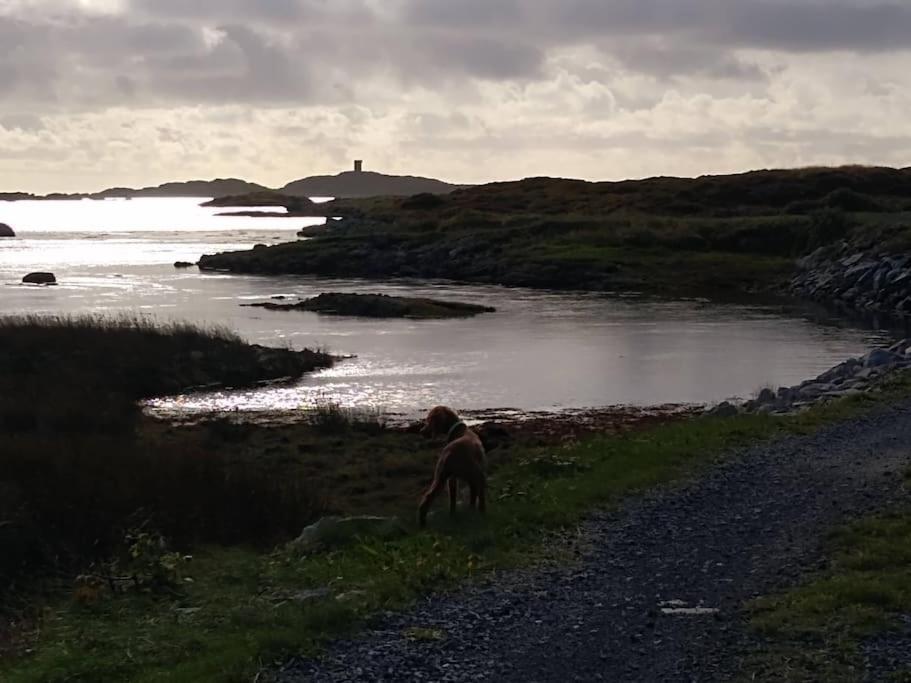 Entire Coastal In Connemara Ireland * Galway