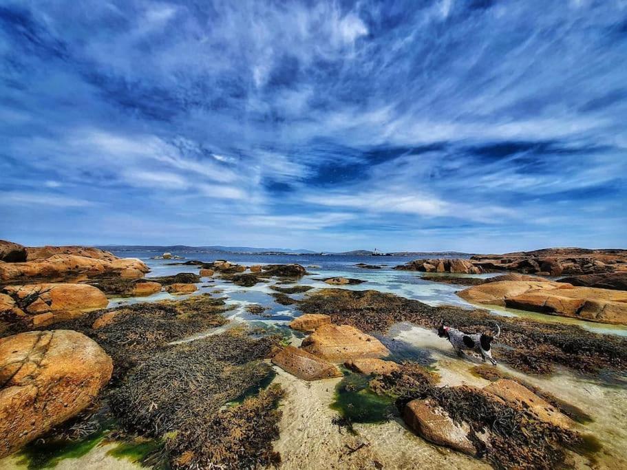 Entire Coastal In Connemara Ireland * Galway